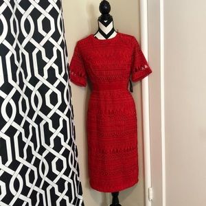 NY Co. Eva Mendes croquet lace midi dress